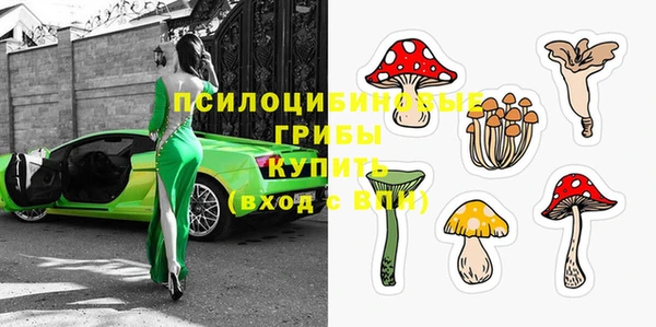 дмт Богородицк