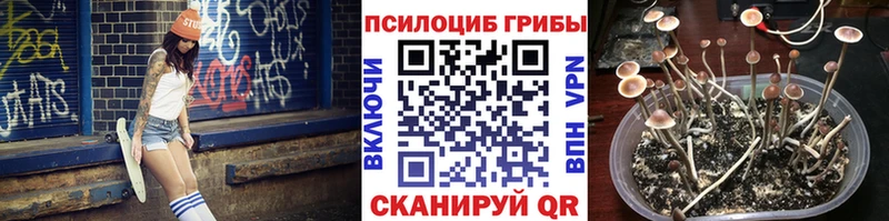 наркошоп  Козьмодемьянск  Псилоцибиновые грибы прущие грибы 